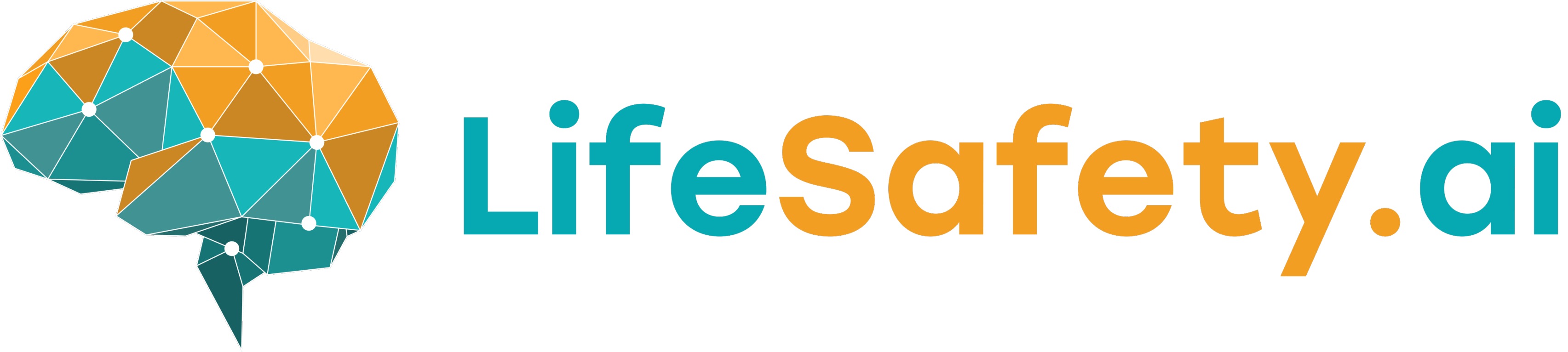 LifeSafety-Logo-PNG.-1 (1)